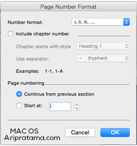 page number angka romawi mac os
